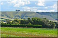 View over farmland to Oliver