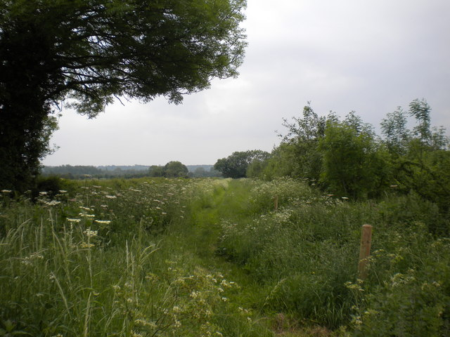 Footpath south west of Bleasby (2)