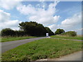 Road towards Harrington Hill