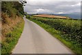 Country road above Ffrith Isa