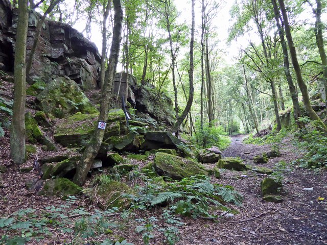 Valley (well railway cutting) of the rock faces