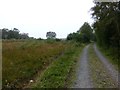 Track to Horsley High Barns