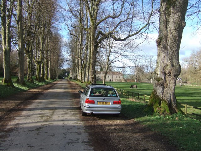 Main drive to Forde Abbey, Dorset