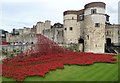 TQ3380 : Poppies cross the bridge in front of Byward Tower by Rob Farrow