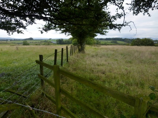 Field boundary