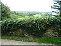 Old wall alongside the Greensand Way