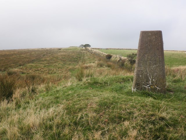 Trig Point on Chapman Barrows