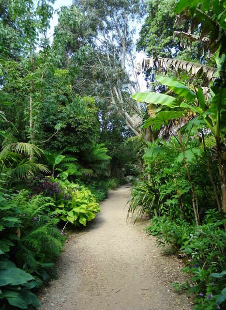 Abbotsbury Sub Tropical Gardens