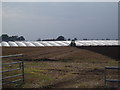 Polytunnels and Ploughing