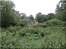 TL3701 : Remains of Building, Royal Gunpowder Mills, Waltham Abbey by Christine Matthews