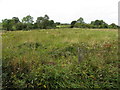 Laghtmorris Townland