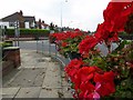 Grimsby in bloom