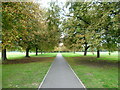 Path across Scotch Common