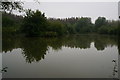 Lake at Mount Pleasant West Wood