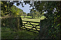 A gate and the field beyond