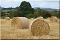 NU1929 : Bales near Chathill by DS Pugh