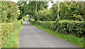 The Meeting House Road near Ballinderry (September 2014)