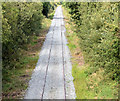 Railway at the Meeting House near Ballinderry - September 2014(1)