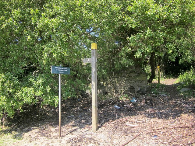 Footpath at Frogmore Creek