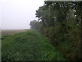 Catchwater Drain, Burton Bridge