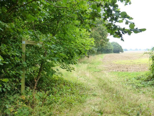 Footpath leaves Wood Hill Lane