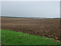 Farmland, Glebe Farm