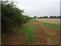 Field and hedgerow