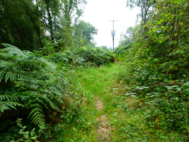Junction on bridleway with pole ahead