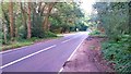 Stonehill Road, looking towards the junction with Gracious Pond Road