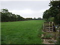 Grazing off National Cycle Route 1