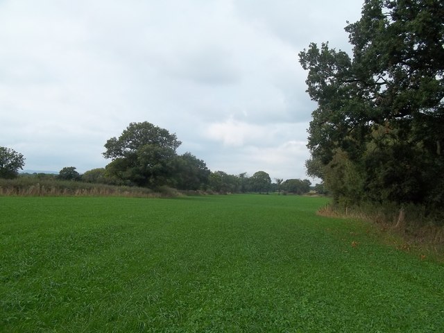 Footpath and Field near Rough Grounds