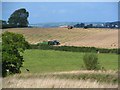 Harvesting near Llansteffan