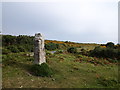 Old Cross Near Dartmeet