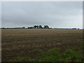 Farmland towards The Poplars