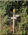 Footpath signpost on the coast path