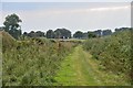 Path near Kelso Racecourse