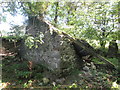 Ruin on the bank of the River Towy