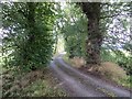 Road near Megginch Castle