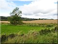 Field, Valleyfield