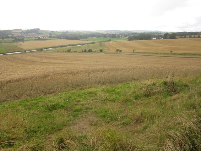 Arable land beside the River Aln