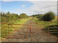 Farm track west of Boulmer