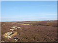 SE5495 : Rocks on heather moor by Trevor Littlewood