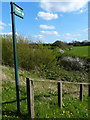 Footpath along Anstey Lane