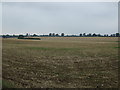 Farmland off Hawthorn Road