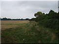 Farmland and hedgerow