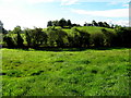 Lisnaweary Townland