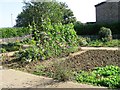 Community Garden on site of demolished garages