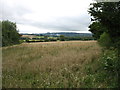 Farmland south of Ebrington