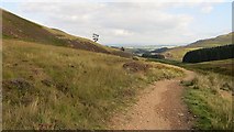 NT2064 : Maiden's Cleugh path by Richard Webb