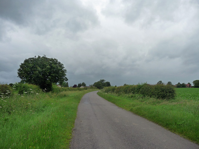 Country road near Hawksworth (1)